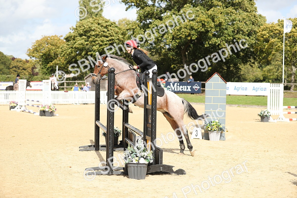 SBM_08435 - J30 - Senior Horse & Pony 70cm Championship