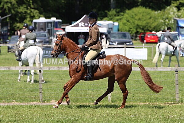 IMG_3781 - Working Hunter