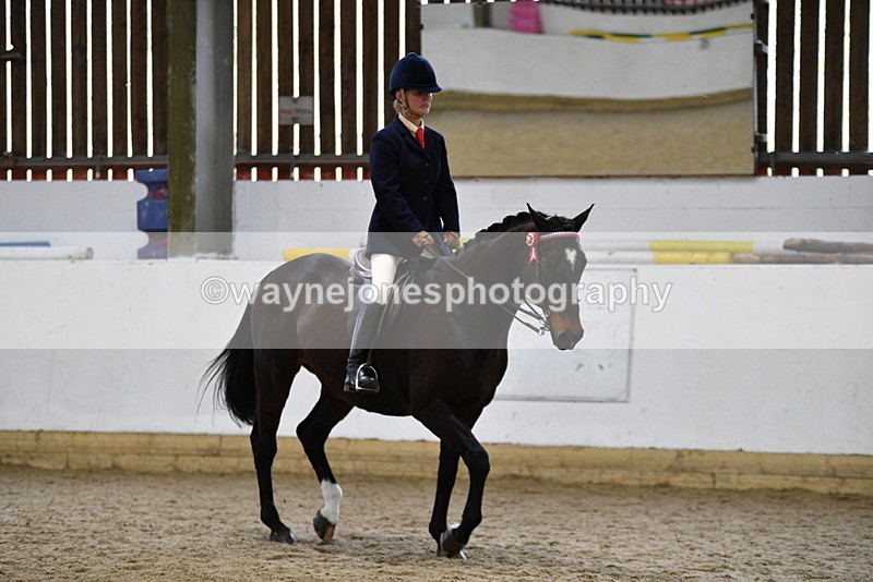 WJ5_7842 - Class 13 Ridden Part Breed