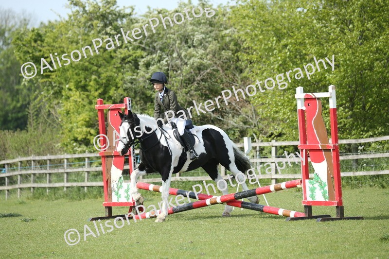 20260426-1509 - Class 14 - Novice 60cm