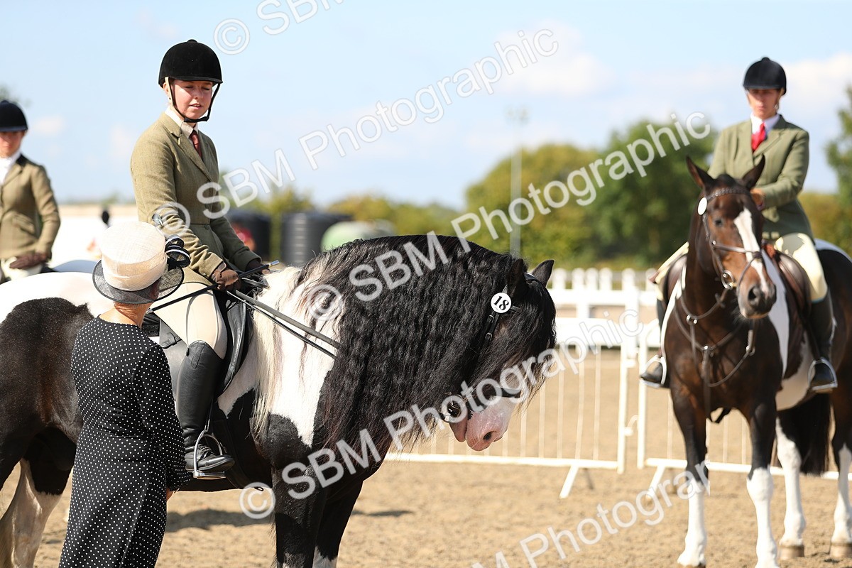 SBM_03223 - Class 44 Riding Club Horse/ Pony