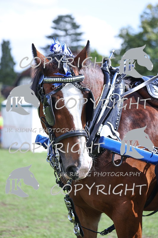 APP_3579 - Class 7 Turnout for a single or pair