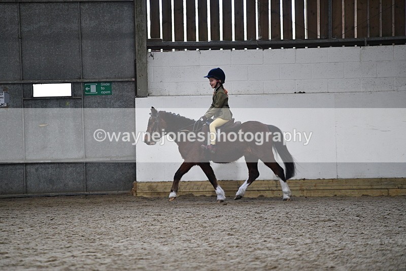 WJ5_6988 - Class 10 Childs Pony