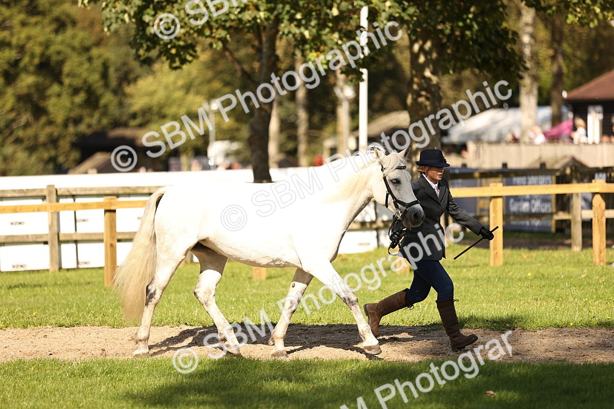 SBM_26130 - S5 - Novice & Newcomers In Hand