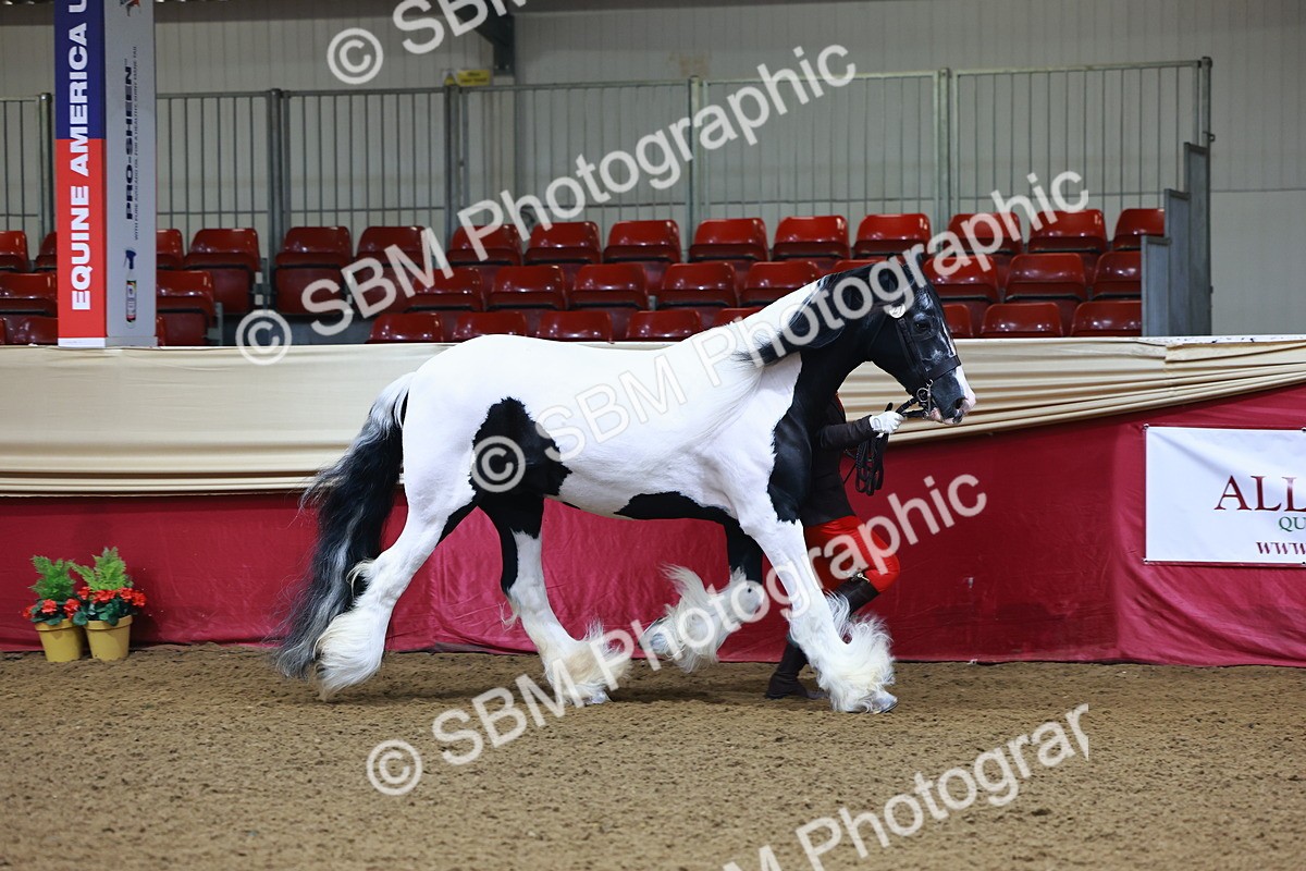 SBM_21636 - Class 901 - Supreme Final - IH  Diamond