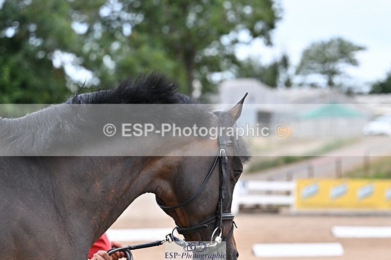 250716-134103-00628 - Trot Up 1.30 to 2.30