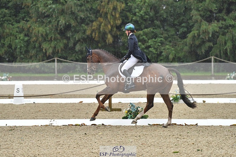 231018-143916-00615 - 002-CHILLI.BILL-Alicia.Wilkinson-DR