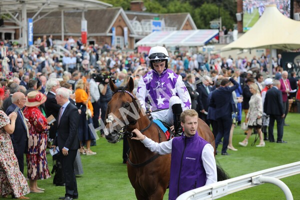 yr18082022r2-11 - Race 2 2.25pm Goffs UK Harry Beeby Premier Yearling Stakes