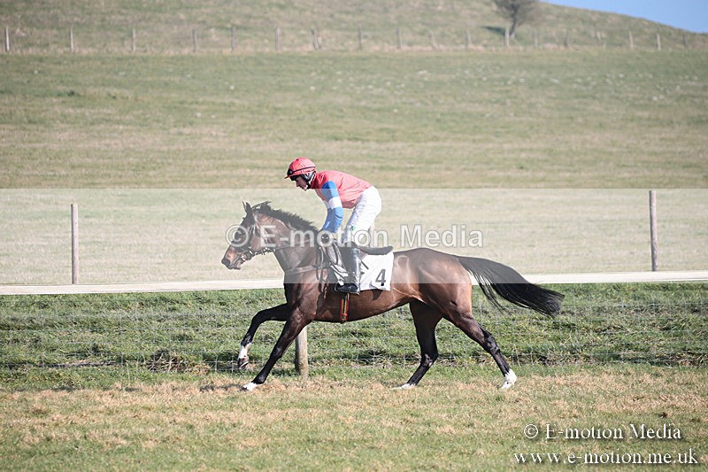PtP 230219 148 - Vine & Craven Point-To-Point - Barbury 23/02/19