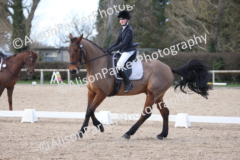 20260228-0817 - Class 6 - Novice 3