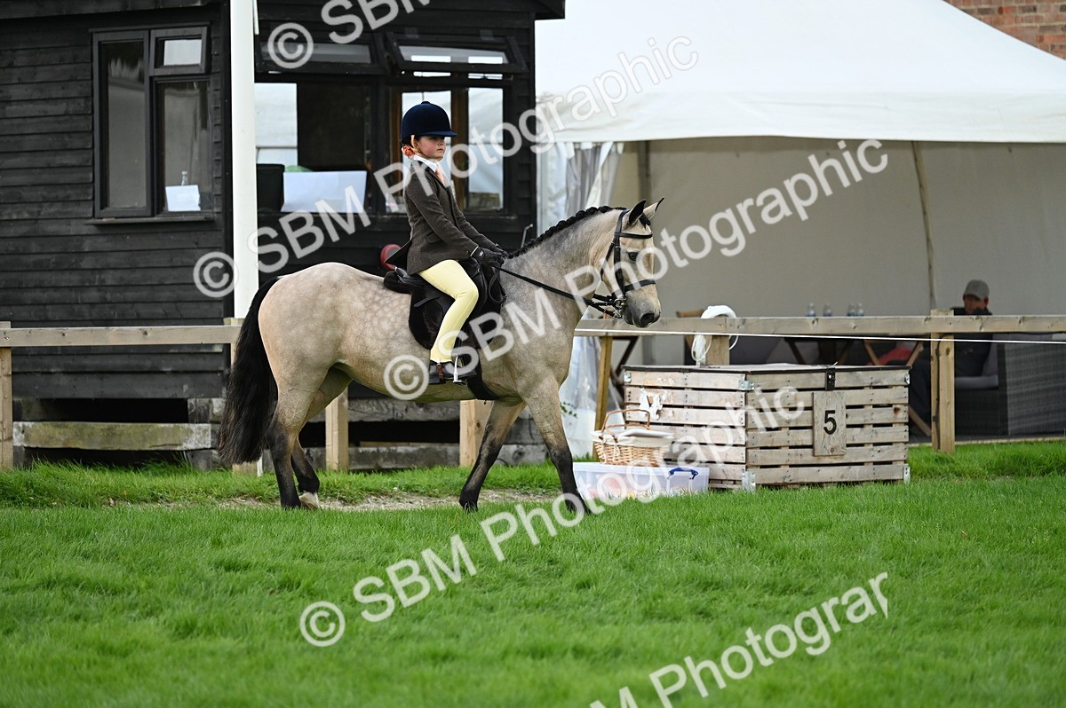 SBM_26555 - S7 - Novice & Newcomer Ridden Pony