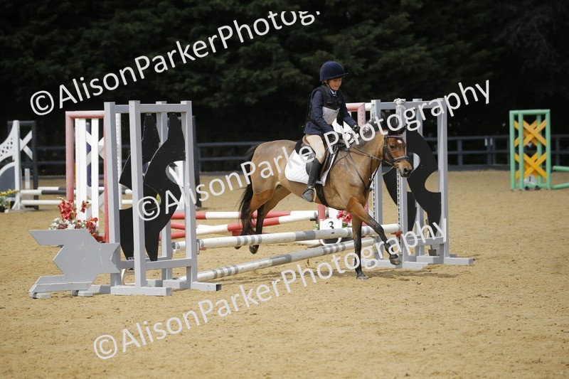 20250622-3960 - 50cm