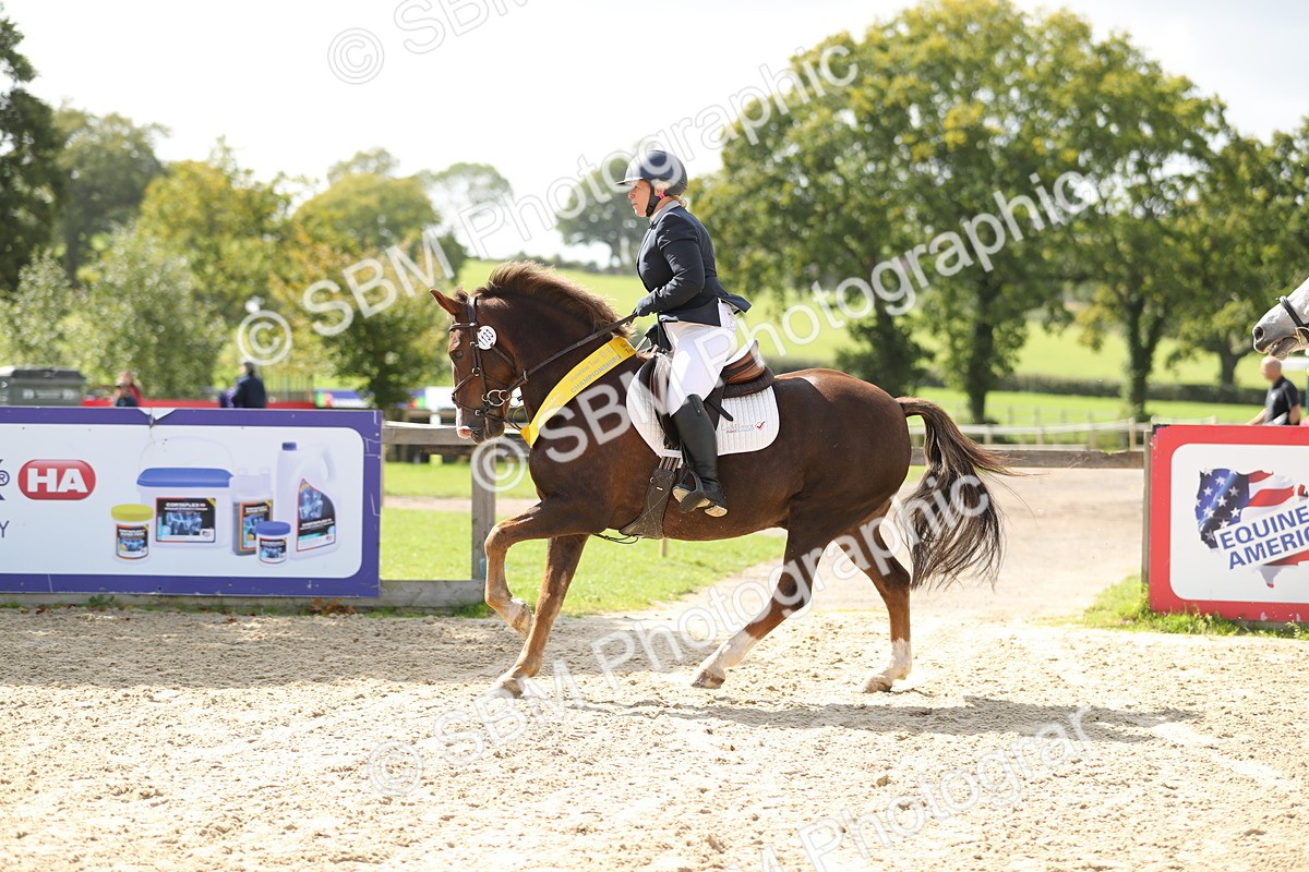 SBM_05849 - J35 - Veteran Rider 60cm