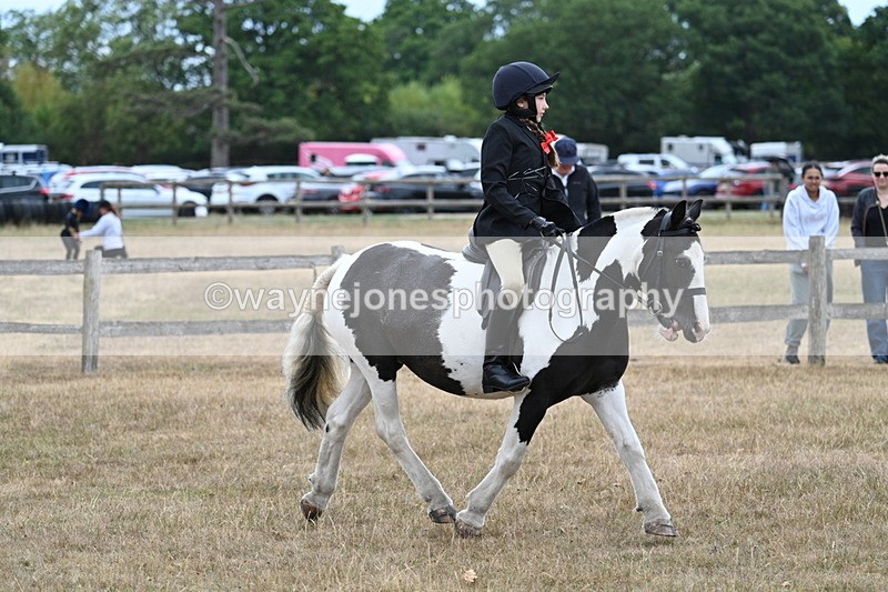WJ7_7281 - Class 2 Best Rider