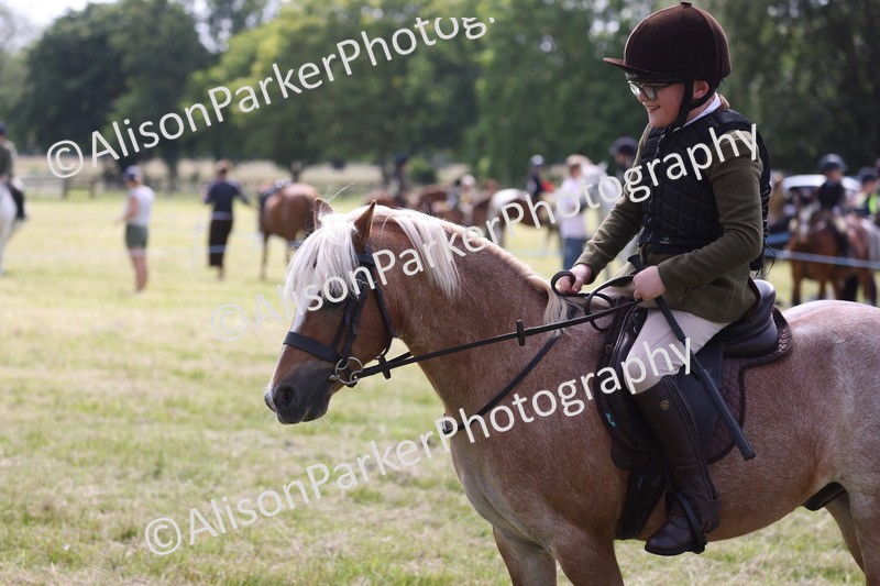 20260614-0760 - Class 20 - Beginners Working Hunter Pony