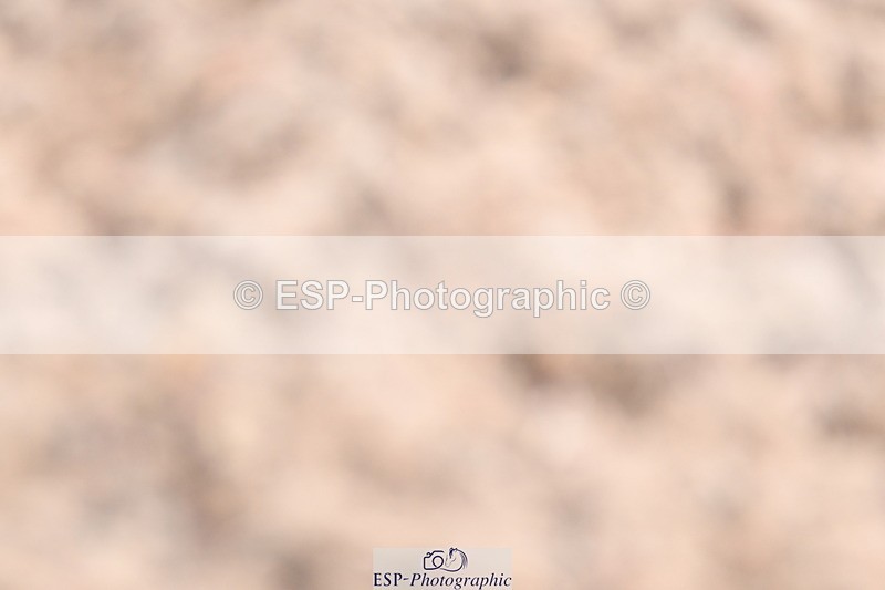 240622A-093859-06862 - Cls 23 BD Prelim 19