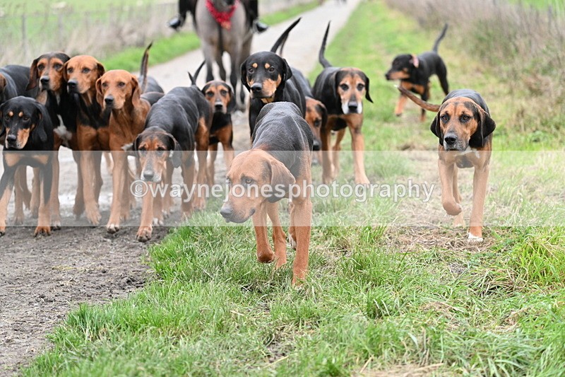 WJ7_1243 - Walk Home