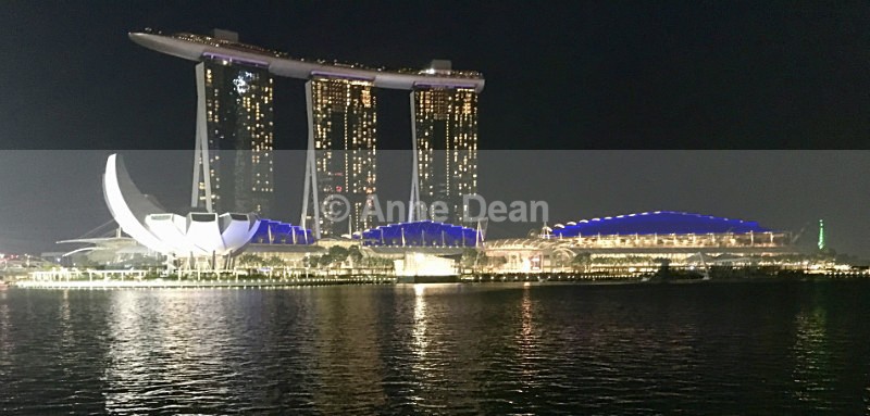 Night illuminations - Singapore and Kuala Lumpur (including some wildlife)
