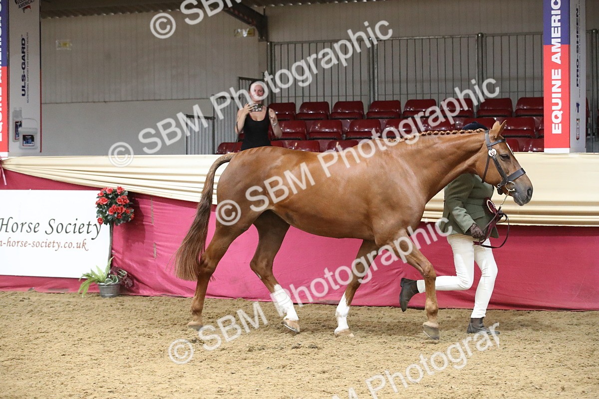 SBM_05844 - Class 9R - Regional IH Pre-Vet