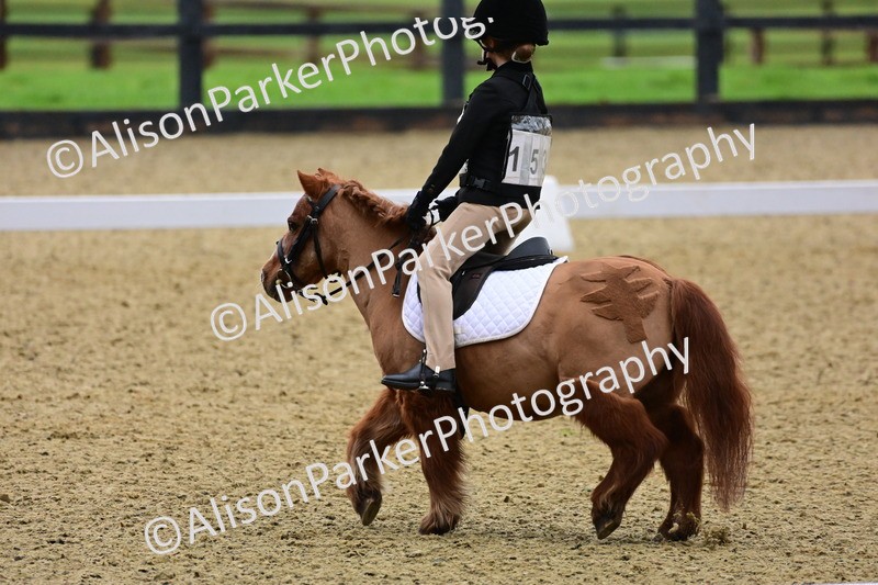 20260125-0555 - Class 9b - Walk Trot Unassisted