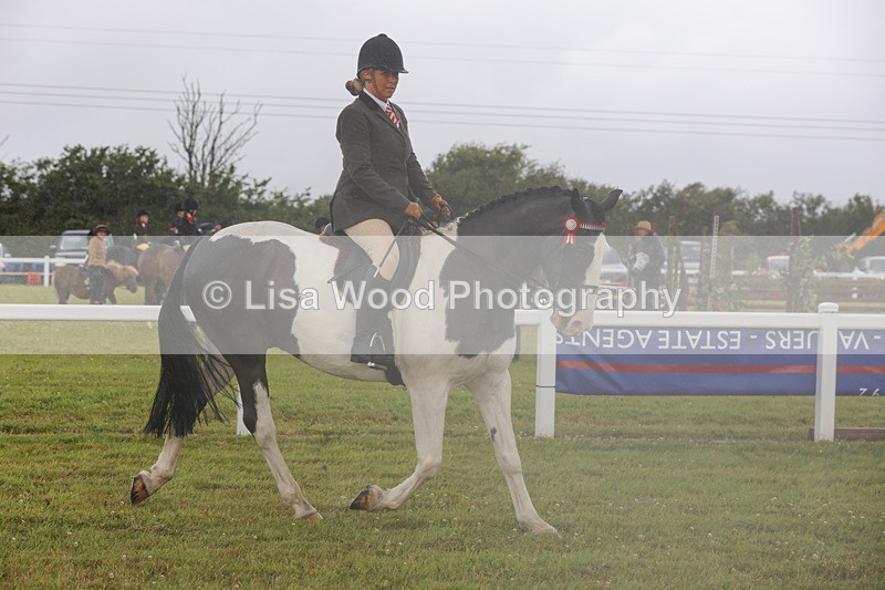 1X9A2984 - Class 26: Ridden Plaited Coloured Pony