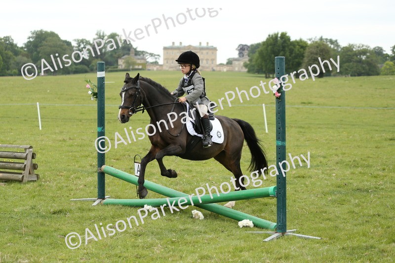 20250517-0470 - Class 20 - Beginners Working Hunter