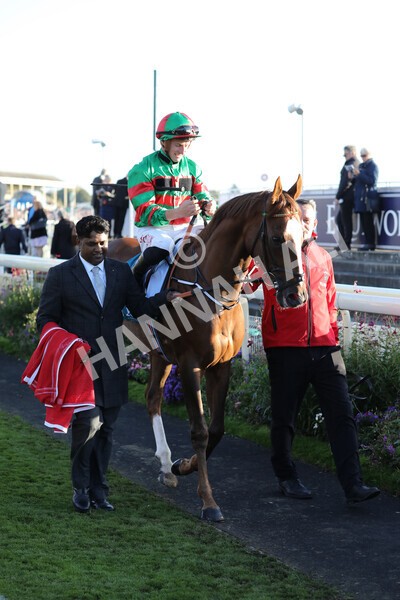 yr08102022r7-17 - Race 7 5.00pm The Coral Gets You Closer To The Action Stakes