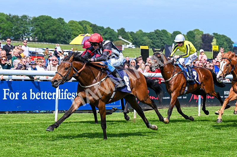 270526-Race 2-Out Of This World-2339 - Race 2 14.45pm Tigers Trust Restricted Novice Stakes
