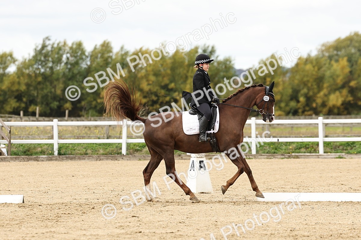 SBM_004531 - Class 69 - Novice 2
