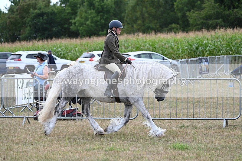 WJ7_5256 - Class 12 Ridden Cob