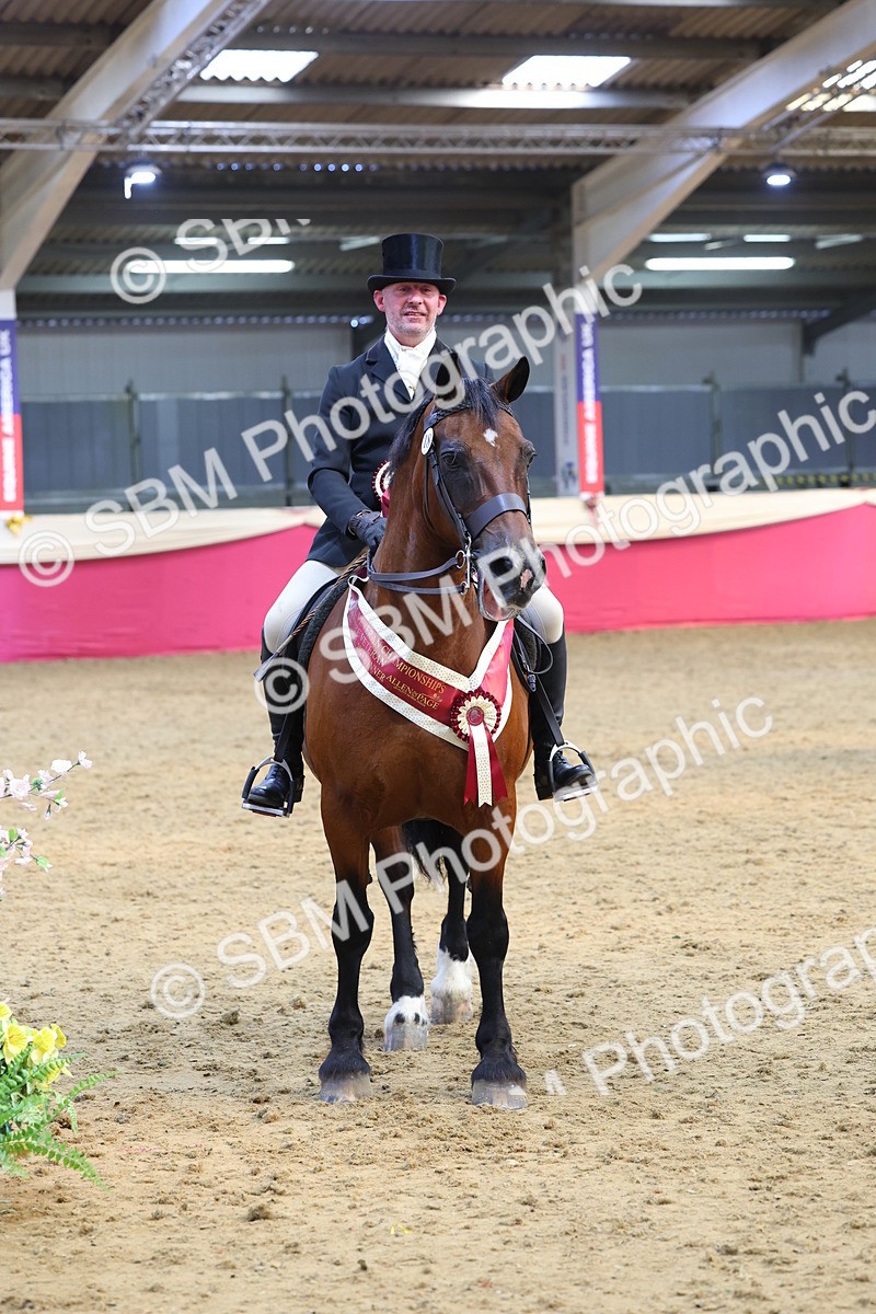 SBM_24675 - Class 906 - Supreme Final - Ridden Pre Vet