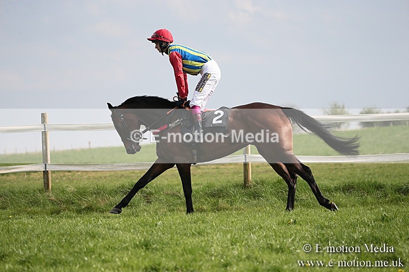 PtP 210418 401 - South & West Wilts Point-to-Point Larkhill 21/04/18