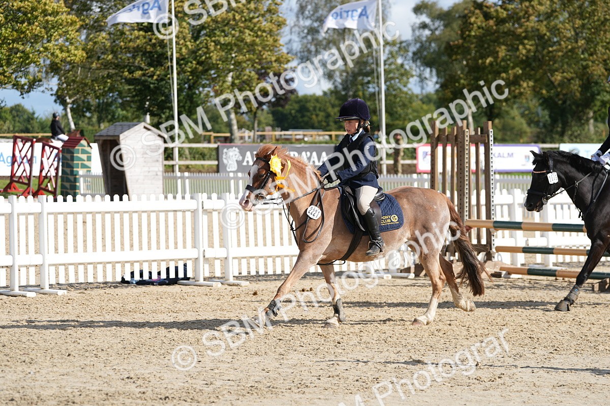 SBM_48640 - J7 - Junior Pony 60cm Championship