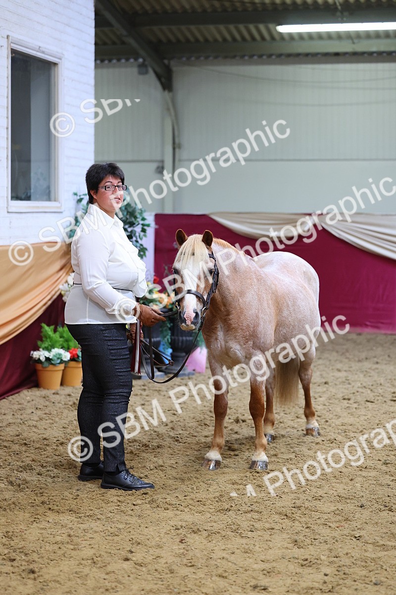 SBM_21110 - Class 902 - Supreme Final IH Veteran
