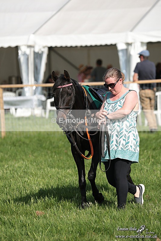 PR 250526 36 - Pony Racing from Chaddesley Corbett 25/05/26