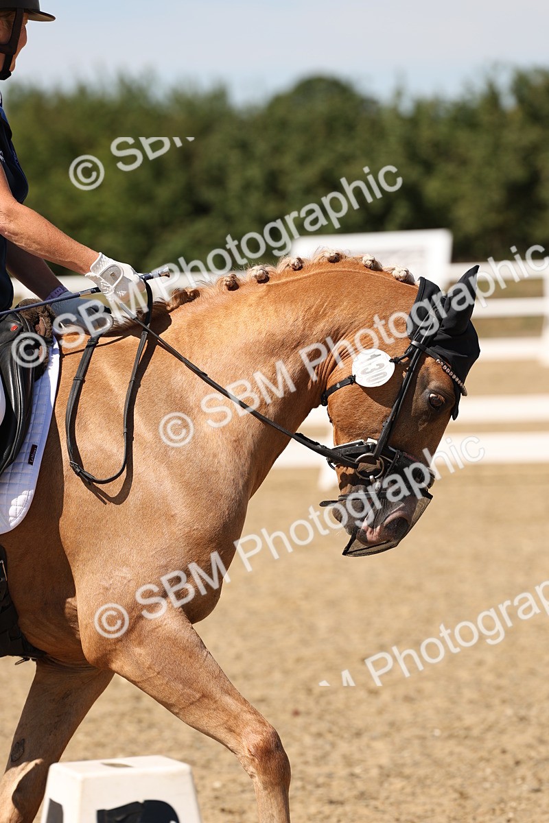 SBM_003665 - Elementary 4