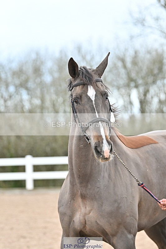 240417A-124320-00187 - 12pm to 1pm