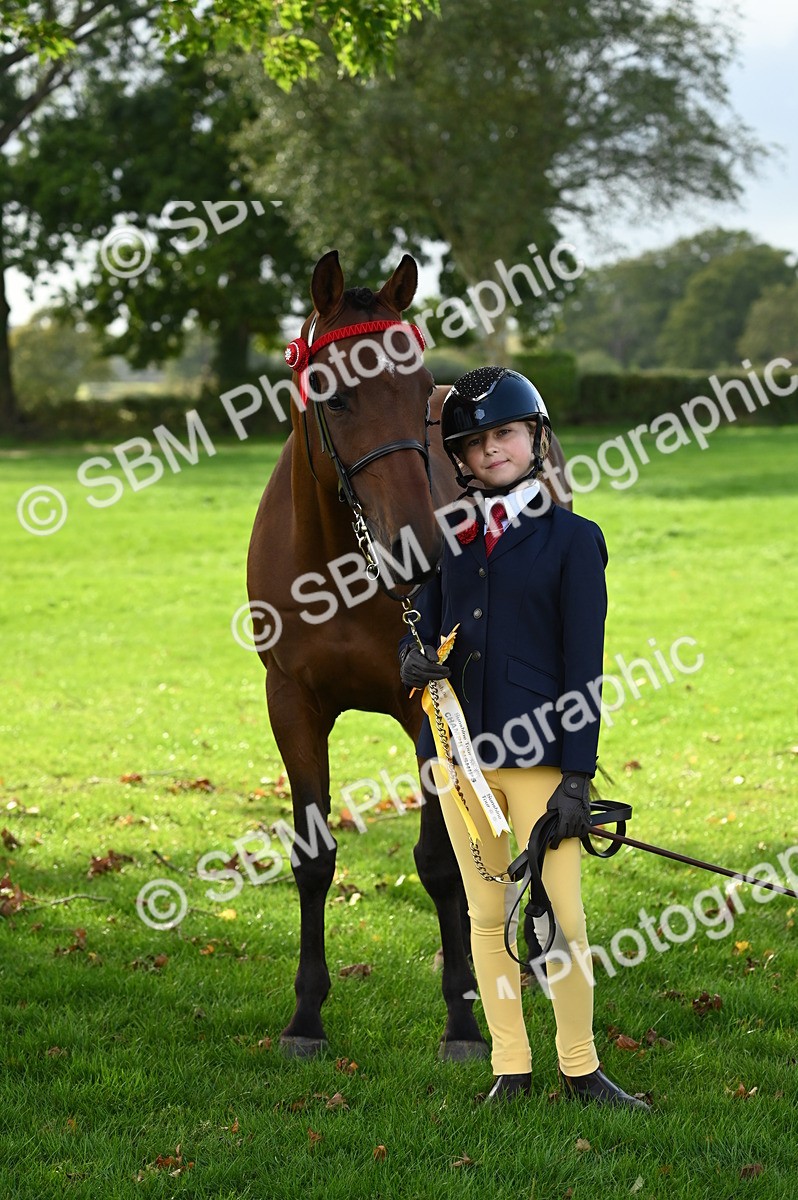 SBM_25066 - S5 - Novice & Newcomer In hand