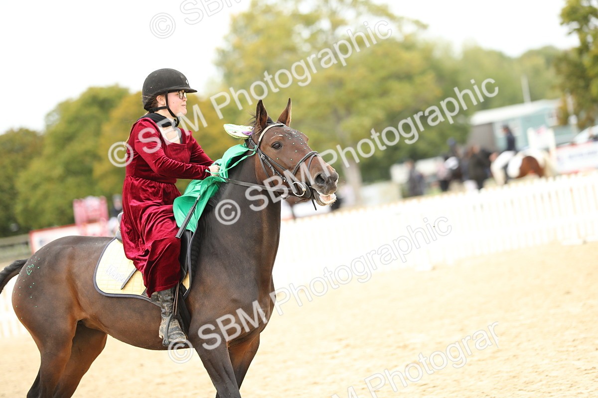 SBM_65762 - J48 - Pairs Jumping Open 70cm & 85cm