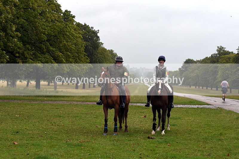 TT3_8037 - Time at Crossing 09:15 to 10:15