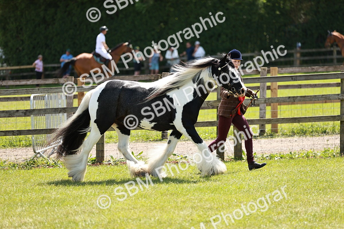 SBM_05499 - Class 41-45 - Riding Pony-Hunter Pony Breeding