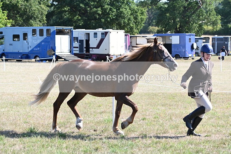 WJ6_4500 - Class 17 Mountain & Moorland