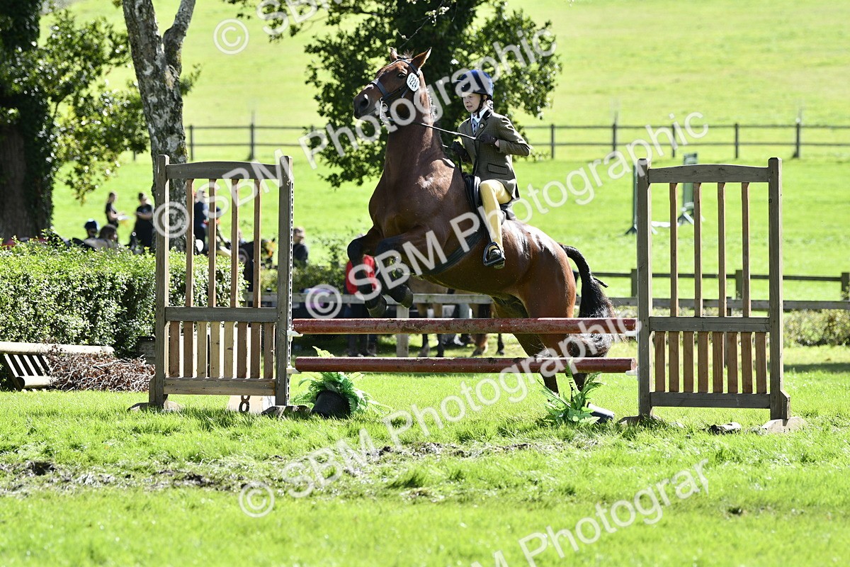 SBM_45711 - S33 - Working Hunter Pony