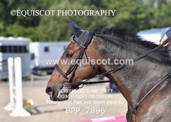BPP_7896 - CLASS 3 Senior BritiNovice/ 90cm Open