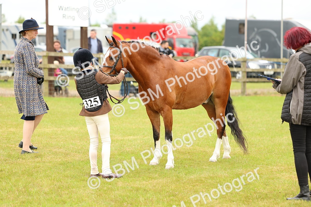 SBM_10252 - Class 44-45 - LIHS BSPS Open Nursery and Cradle Stakes
