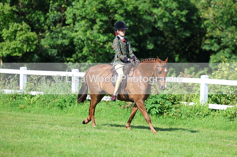 3E7A5976 - Class 27: Novice Working Hunter Pony