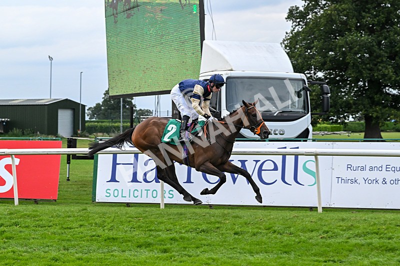 060925-Race 6-Bosphorus Rose-6035 - Race 6