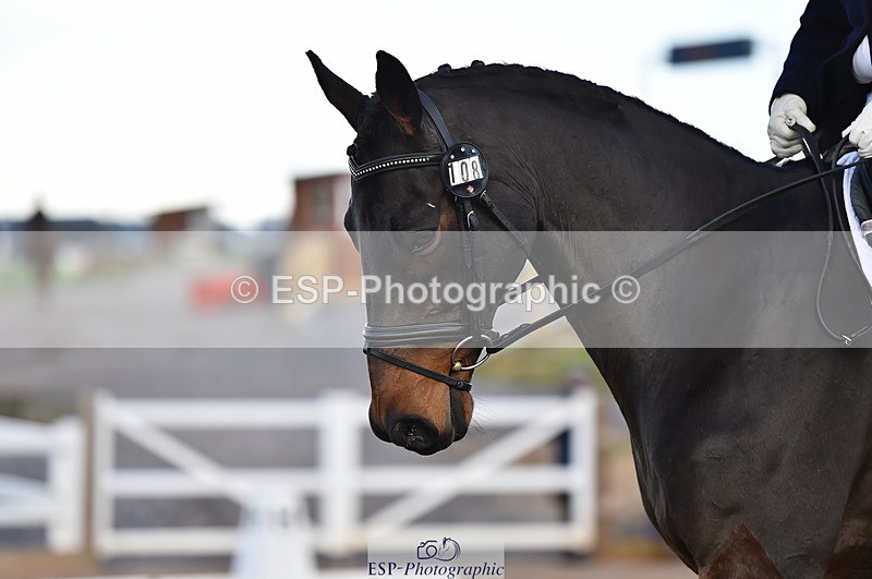 231104A-124042-01728 - Cls 8 Elementary 59