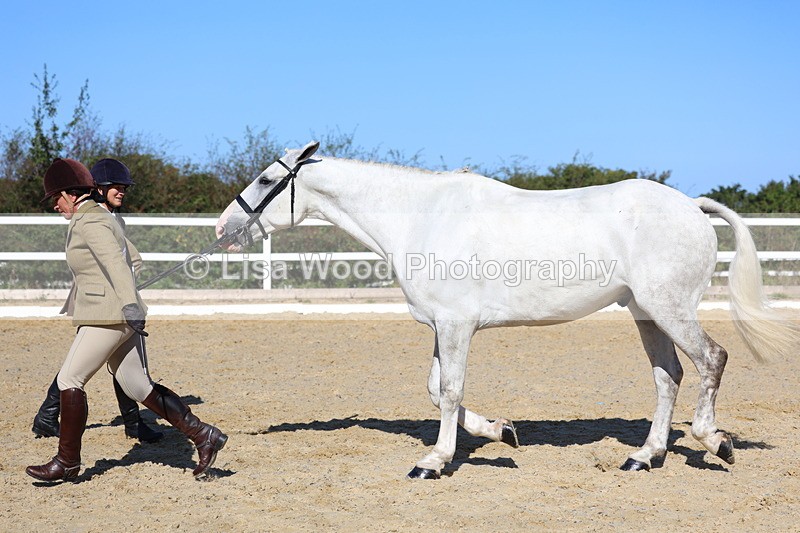 3E7A5583 - Class 9: Open Ridden Hunter