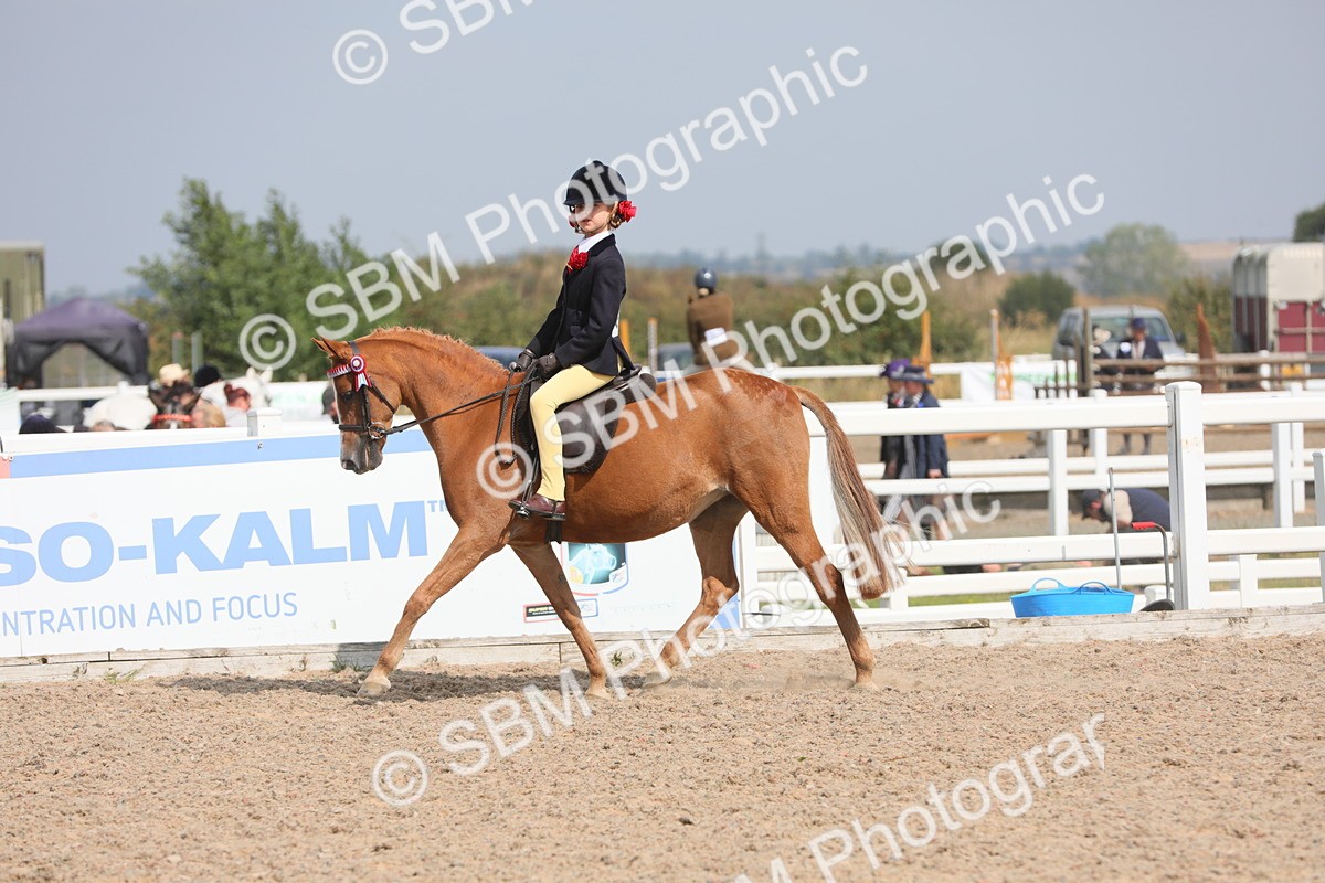 SBM_14727 - Class 310 First Ridden Pony